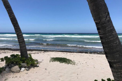 101 La Grande Princesse Co 1