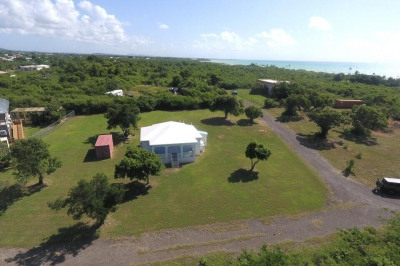 358 Whim (two Will) We 1