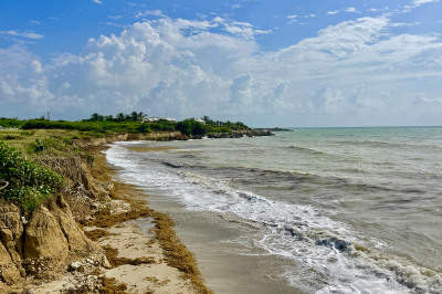 83 Enfield Green Pr 1