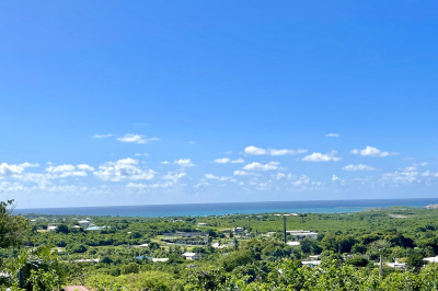 23/1 Peter's Rest Qu 1