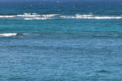 7-a Wood Cottage Eb 1