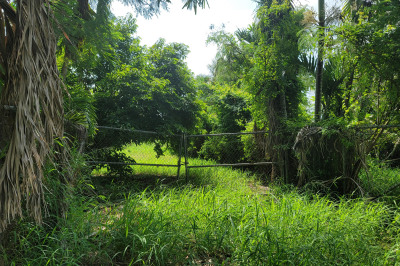 1068 William's De We 1