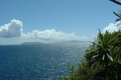 11-23 Peterborg Gns 1