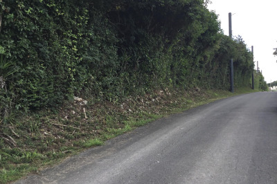 182 Mary's Fancy Qu 1