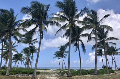 301 La Grande Princesse Co 1