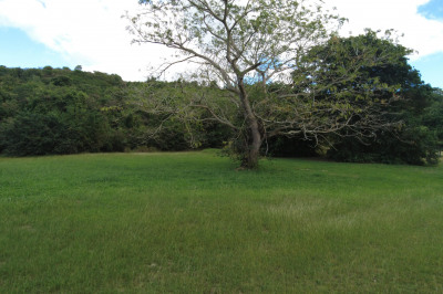 155 Mary's Fancy Qu 1