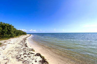 47-a-3 Great Pond Ea 1