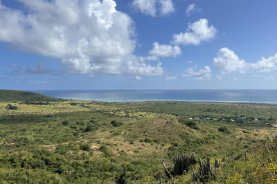 45 Grange Stock Est Co 1