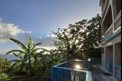 4ja-4 #4 Fortuna We 1