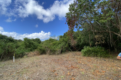 199 Hermon Hill Co 1