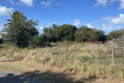 116 William's De Pr 1