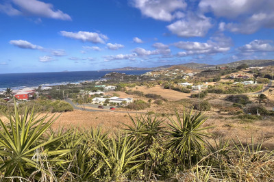 125 Judith's Fancy Qu 1