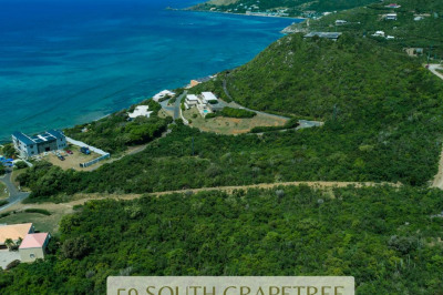 59 South Grapetree Eb 1