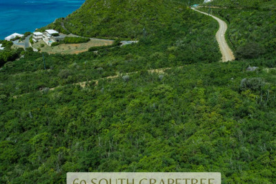 60 South Grapetree Eb 1