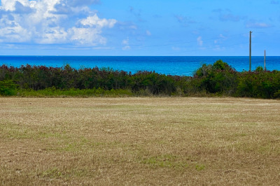 130 Enfield Green Pr 1