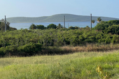 382 Cotton Valley Eb 1