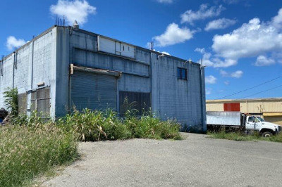 1-i Little Princesse Co 1