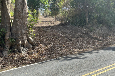 9-d Montpellier Pr 1