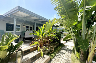 249 Judith's Fancy Qu 1