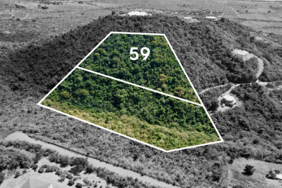 59 Grange Stock Est Co 1