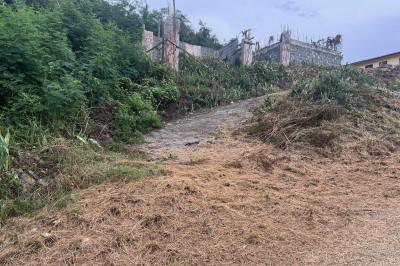 195 Ruby (diamond) Qu 1