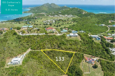 133 Catherine's Hope Eb 1