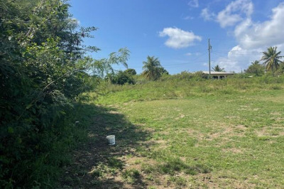 287 William's De Pr 1