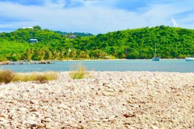 249 Judith's Fancy Qu 1