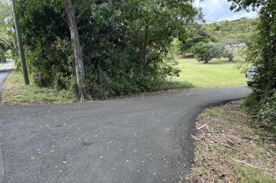 174 Judith's Fancy Qu 1