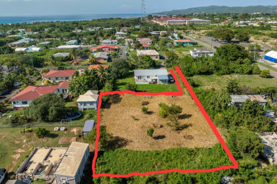 5a 5a-2 White Lady We 1