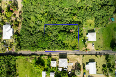 16-j Whim (two Will) We 1