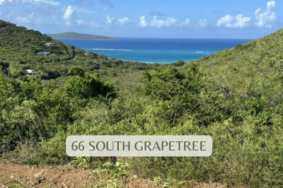 66 South Grapetree Eb 1