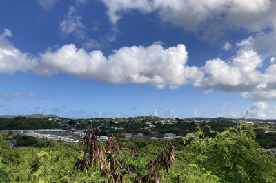 467 Barren Spot Ki 1