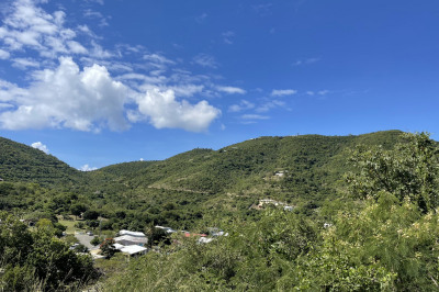 136 Eliza's Retreat Ea 1