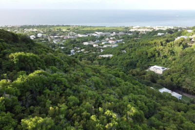 2-i & 3-d Bellevue Co 1