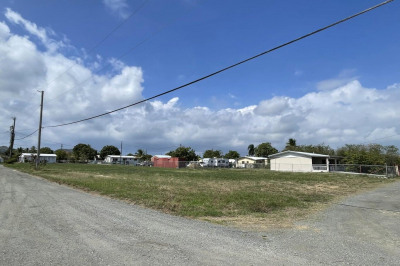 142 William's De Pr 1