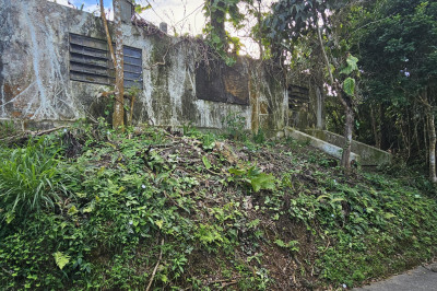 3a-7 St. Peter Lns 1