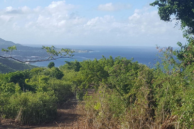 Rem 52 Eliza's Retreat Ea 1