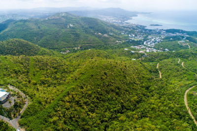 52 E, & F Eliza's Retreat Ea 1