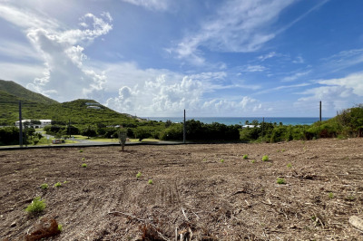 86 South Grapetree Eb 1