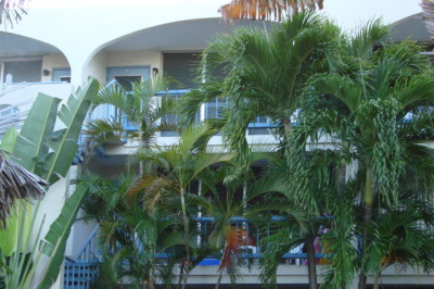 40 Orange Grove Co 1