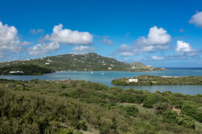 131 Judith's Fancy Qu 1