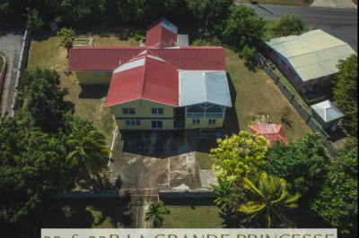 33, 33b La Grande Princesse Co 1