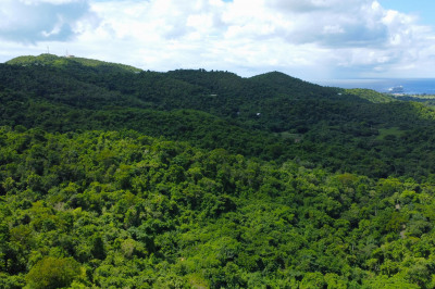 33 Orange Grove We 1