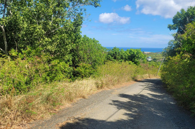 185 Union & Mt. Wash Ea 1