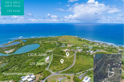 129 & 130a Judith's Fancy Qu 1