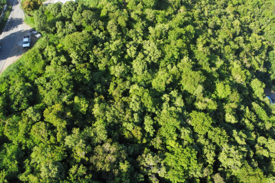 4-4 Tabor & Harmony Ee 1