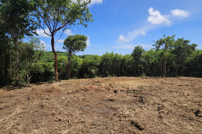 173 Morningstar Qu 1