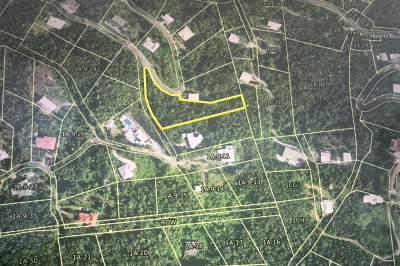 1a9-10 Dorothea Lns 1