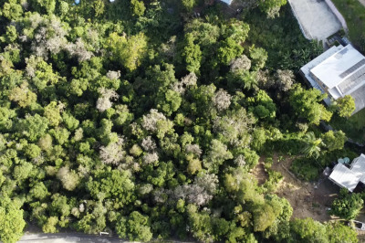 10-2-24 Lilliendal & Marienhoj Lns 1